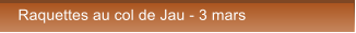 Raquettes au col de Jau - 3 mars Raquettes au col de Jau - 3 mars