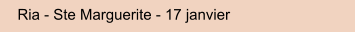 Ria - Ste Marguerite - 17 janvier