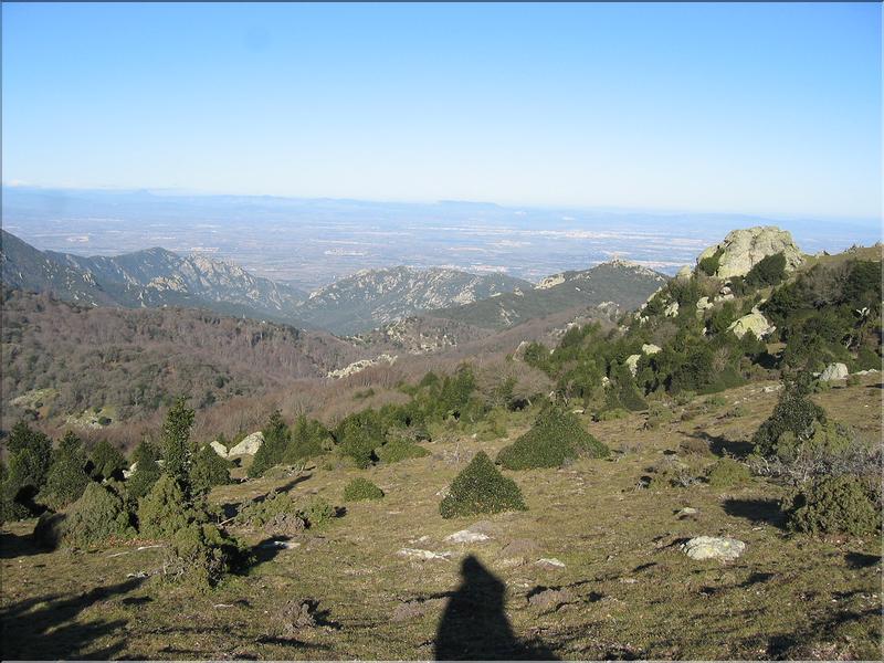 Col del Pal 015