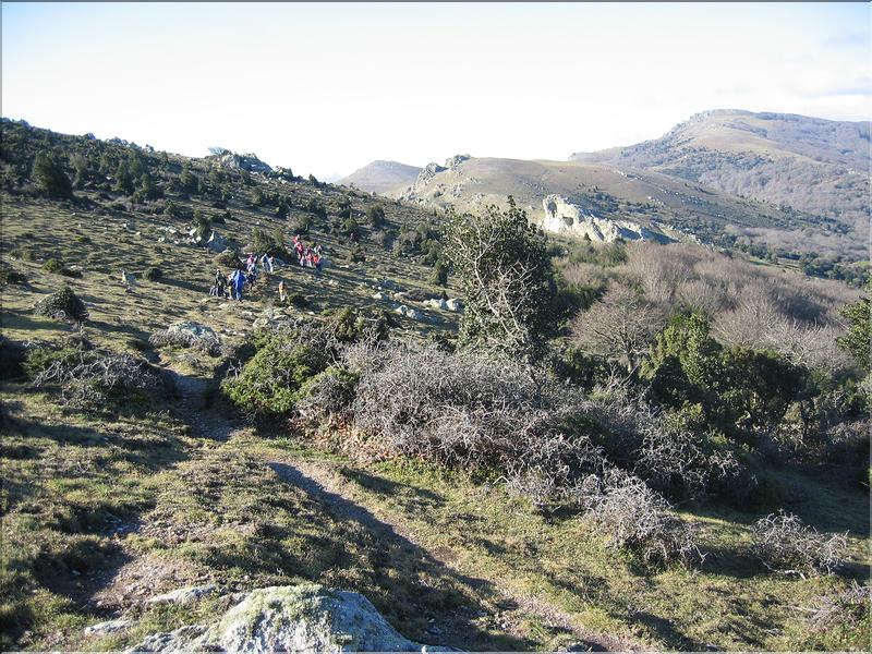 Col del Pal 016