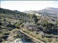 Col del Pal 016