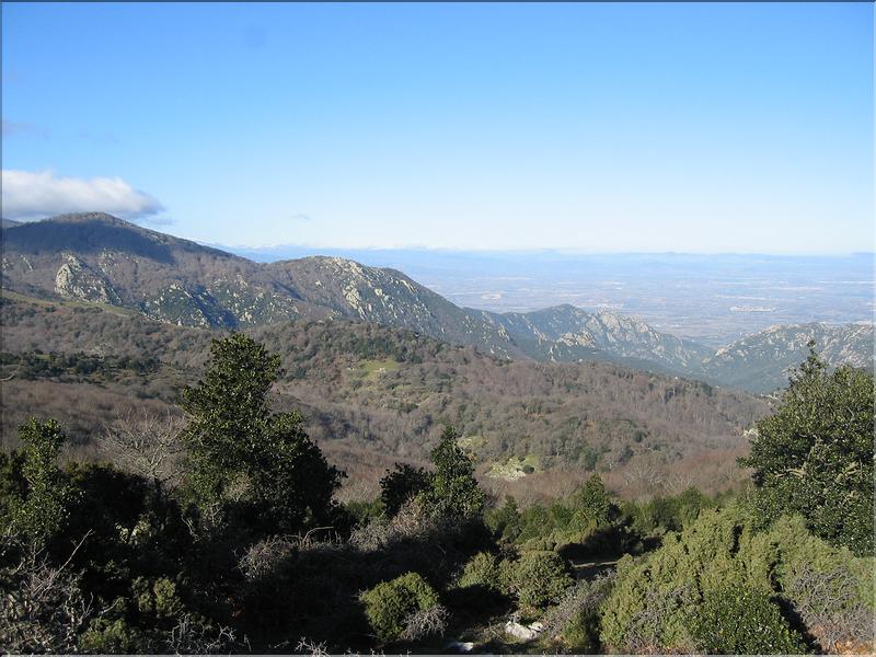 Col del Pal 018