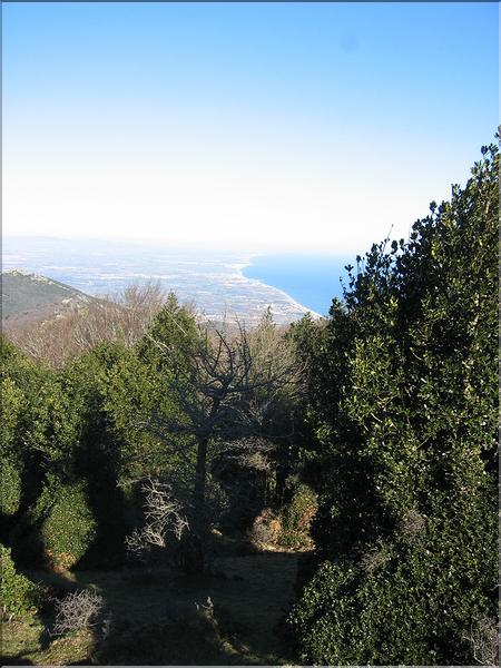 Col del Pal 020