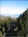 Col del Pal 020