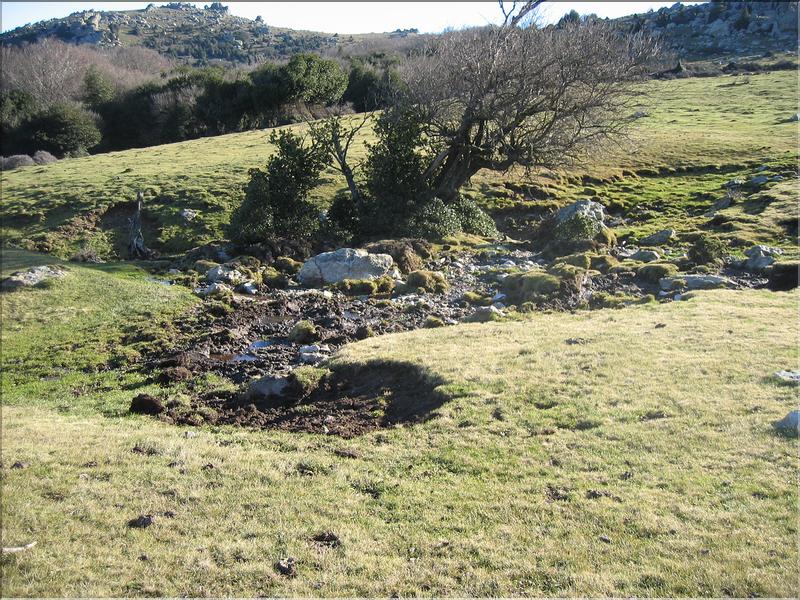 Col del Pal 023