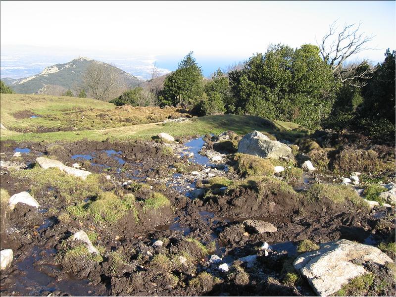 Col del Pal 026