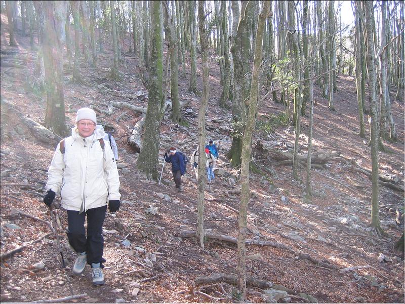 Col del Pal 039