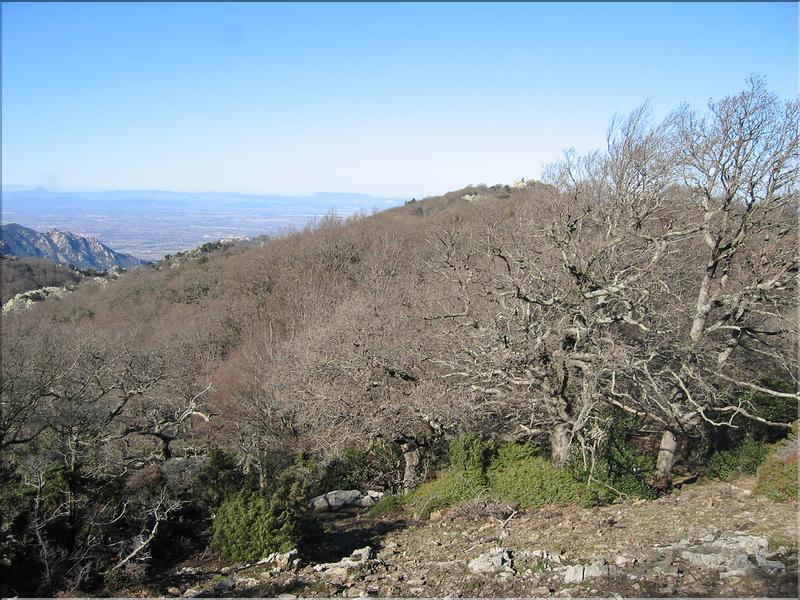 Col del Pal 040