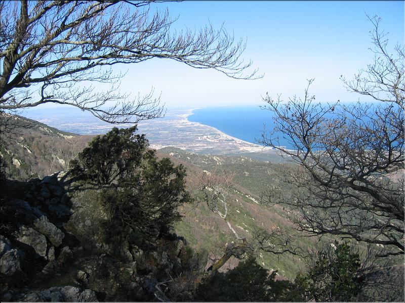 Col del Pal 045