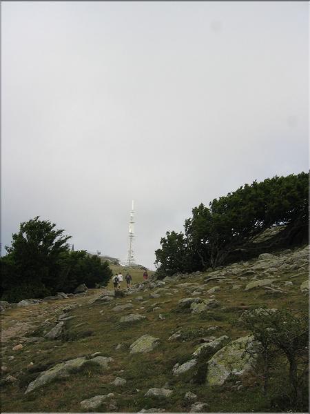 Néoulous 023