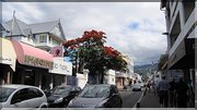 J02_2012_11_08 0008 la Réunion St-Denis ONF de la Providence
