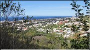 J02_2012_11_08 0022 la Réunion St-Denis ONF de la Providence
