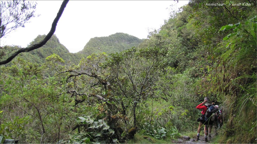 J06_2012_11_08 0026 la Réunion Mafate1 sentier Scout Ilet à Malheur Ilet à Bourse Grand-Place