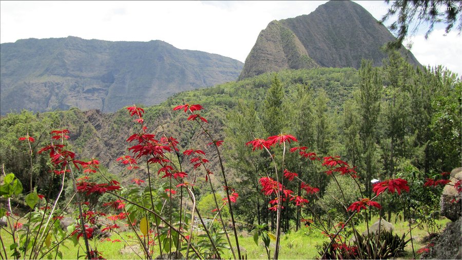 J06_2012_11_08 0059A la Réunion Mafate1 sentier Scout Ilet à Malheur Ilet à Bourse Grand-Place