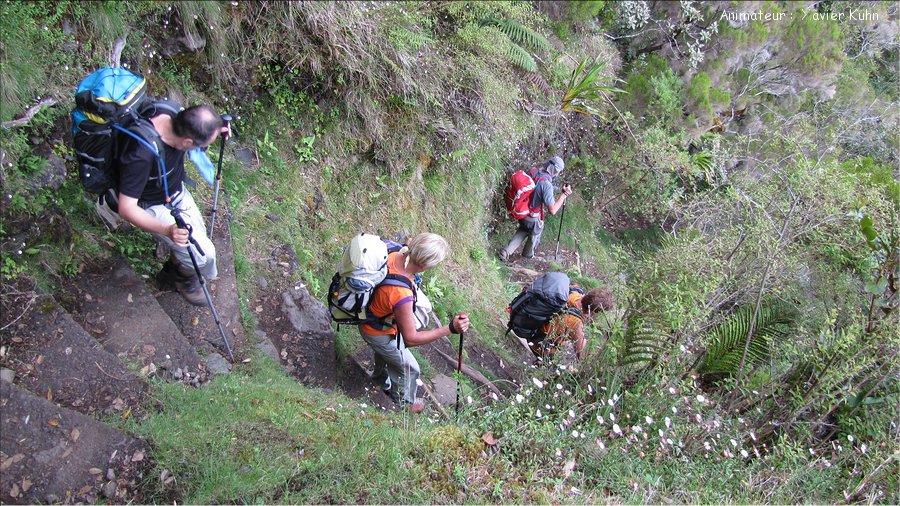 J09_2012_11_08 0051 la Réunion Mafate4 Marla Plaine des Tamarins sentier Scout