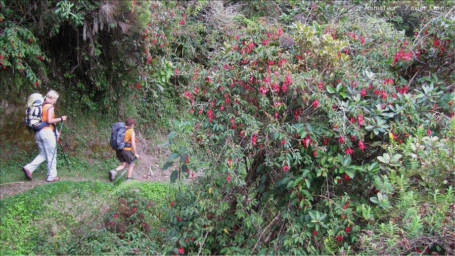 J09_2012_11_08 0062 la Réunion Mafate4 Marla Plaine des Tamarins sentier Scout
