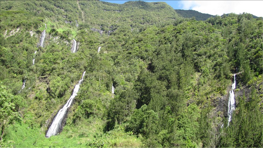 J09_2012_11_08 0070 la Réunion Mafate4 Marla Plaine des Tamarins sentier Scout