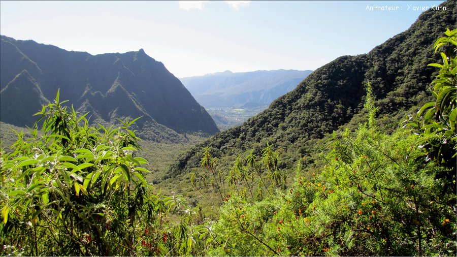 J12_2012_11_08 0005 la Réunion plateau de Bélouve Trou de Fer
