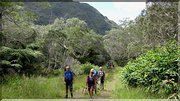 J12_2012_11_08 0021 la Réunion plateau de Bélouve Trou de Fer