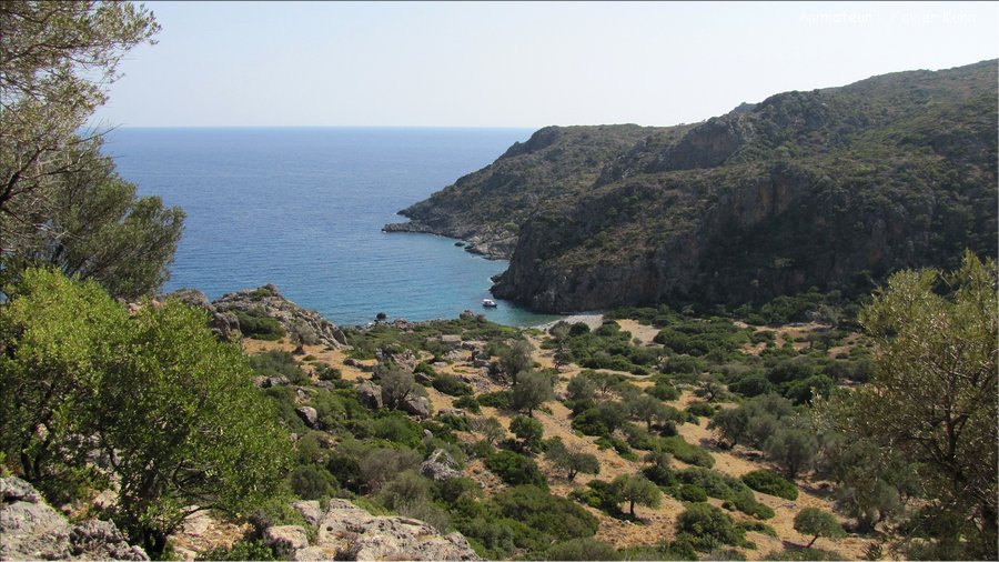 J03_0069 CRETE Paléochora Lissos Sougia