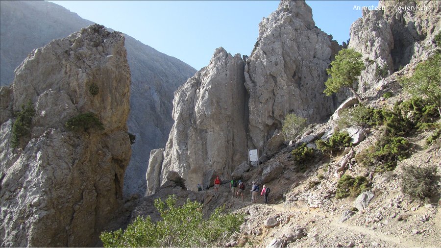 J5_0025 CRETE Xyloskalo col de Linoseli mont Gigilos