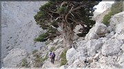 J5_0036 CRETE Xyloskalo col de Linoseli mont Gigilos