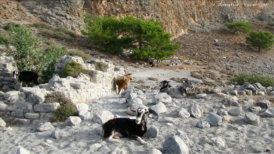 J07_0021 CRETE Agia Roumeli crique de Marmara Loutro
