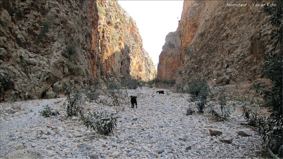 J08_0151 CRETE Loutro Anopoli gorges d'Aradena crique de Marmara