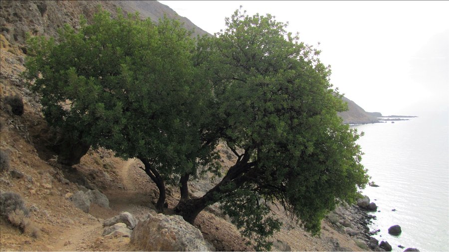J09_0020 CRETE Loutro Hora Skafion Héraklion