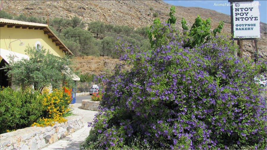 J09_0086 CRETE Loutro Hora Skafion Héraklion