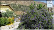 J09_0086 CRETE Loutro Hora Skafion Héraklion