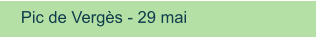 Pic de Vergès - 29 mai